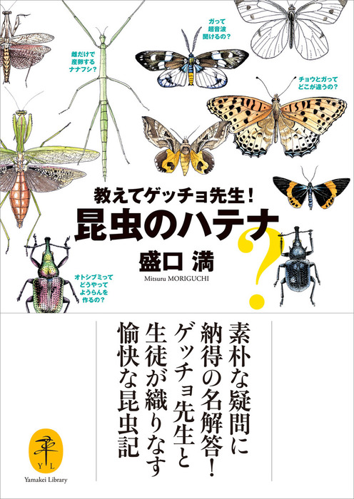 ヤマケイ文庫 教えてゲッチョ先生！昆虫のハテナ - 実用 盛口満（ヤマケイ文庫）：電子書籍試し読み無料 - BOOK☆WALKER -