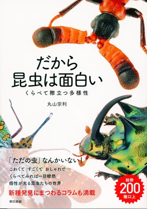 丸山宗利：電子書籍試し読み無料　だから昆虫は面白い　BOOK☆WALKER　くらべて際立つ多様性　写真集