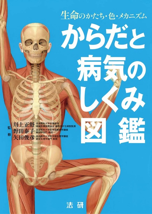 人体解剖ビジュアル : からだの仕組みと病気 - 健康・医学