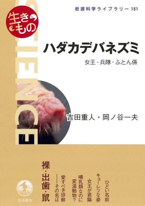 生きもの ハダカデバネズミ 女王 兵隊 ふとん係 実用 吉田重人 岡ノ谷一夫 岩波科学ライブラリー 電子書籍試し読み無料 Book Walker