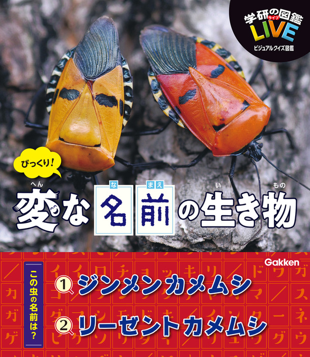 びっくり 変な名前の生き物 実用 木村義志 ｌｉｖｅビジュアルクイズ図鑑 電子書籍試し読み無料 Book Walker