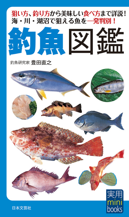 釣魚図鑑 実用 豊田直之 電子書籍試し読み無料 Book Walker