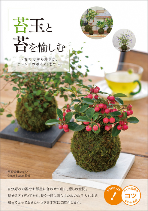 苔玉と苔を愉しむ 育て方から飾り方 アレンジのポイントまで 実用 Greenscape 電子書籍試し読み無料 Book Walker