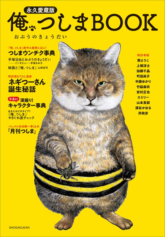 猫まるわかりフォト事典 - その他