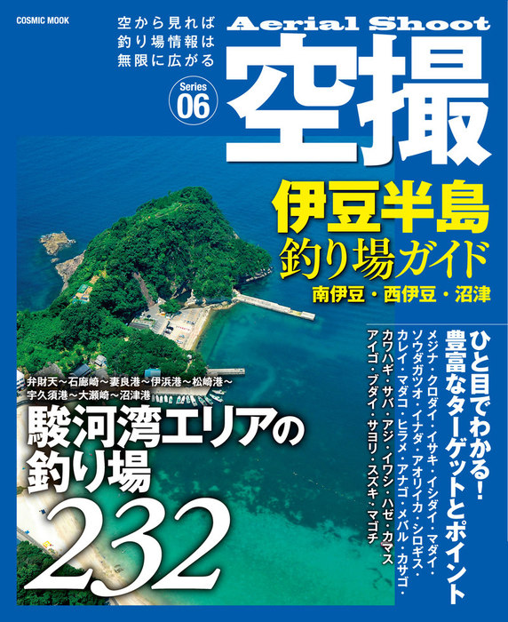 空撮 伊豆半島釣り場ガイド 南伊豆・西伊豆・沼津 - 実用