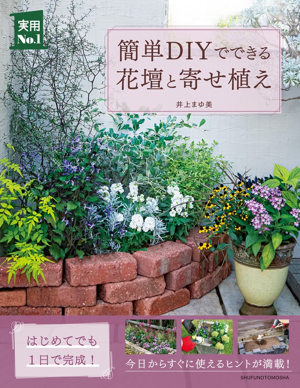 失敗しない観葉植物 決定版