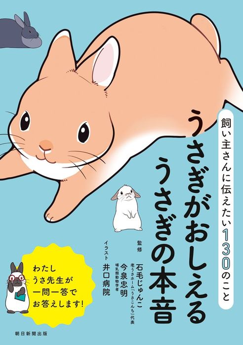 飼い主さんに伝えたい130のこと うさぎがおしえるうさぎの本音 実用 石毛じゅんこ 今泉忠明 井口病院 電子書籍試し読み無料 Book Walker