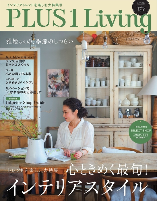 インテリア雑誌PLUS 1 LIVING プラスワン リビング 5冊セット - 住まい