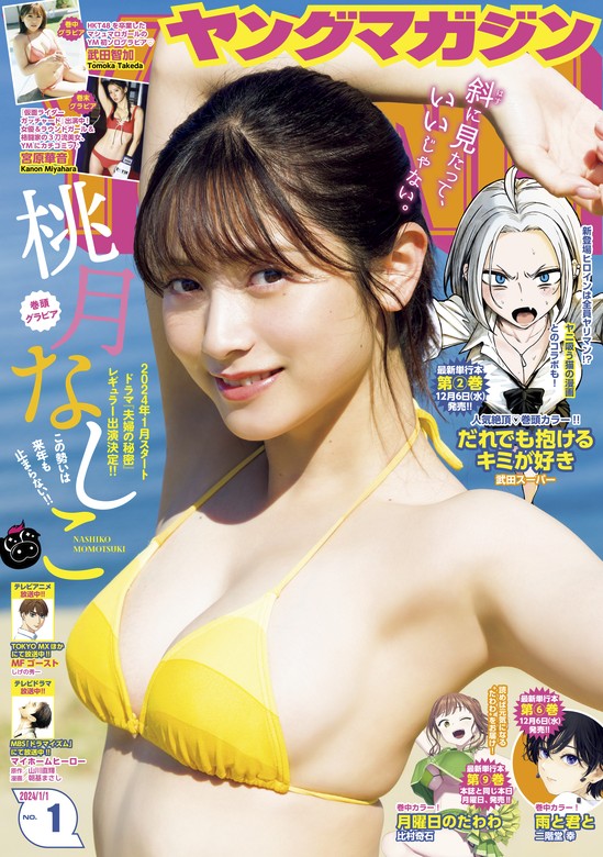 週刊誌 週刊大衆 告白実話 実話体験 漫画 官能小説 ヤングマガジン コミック 写真集 大量 色々 - 本、雑誌