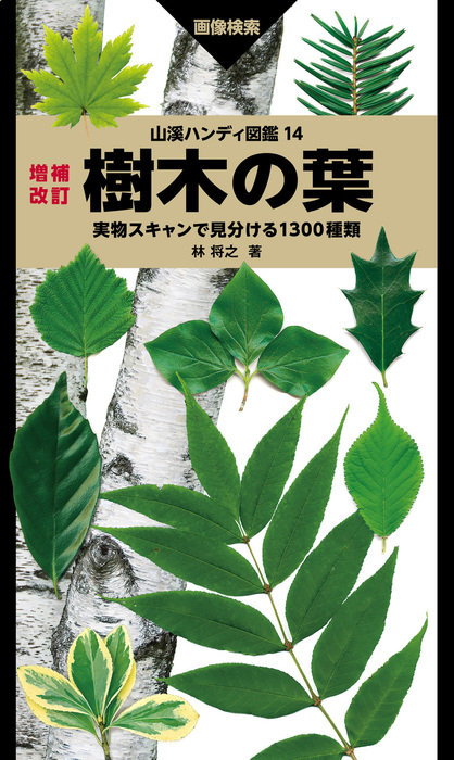 最新刊】山溪ハンディ図鑑 14 増補改訂 樹木の葉 実物スキャンで