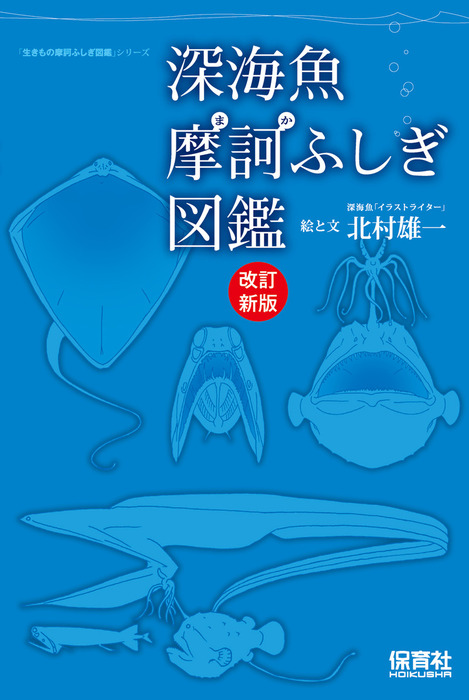 本 図鑑集 小学館 深海シリーズ 本 図鑑集 小学館 深海シリーズ 小学館