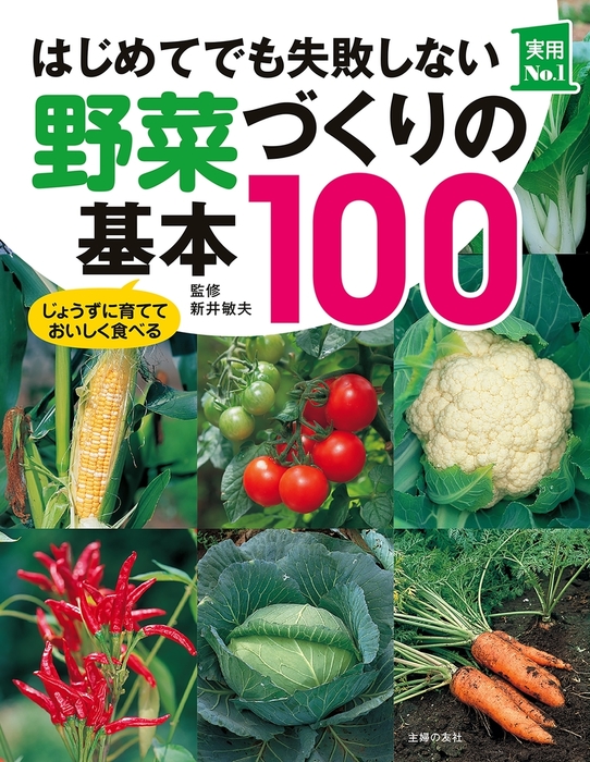 はじめてでも失敗しない野菜づくりの基本１００ - 実用 新井敏夫（主婦