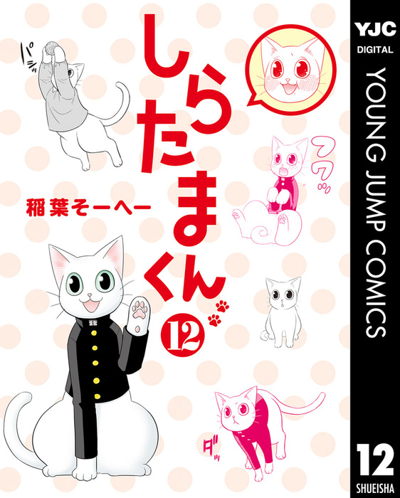 最終巻】しらたまくん 12 - マンガ（漫画） 稲葉そーへー（ヤング