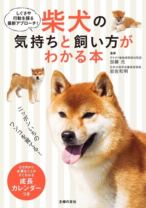 柴犬飼い方・しつけ・お手入れ - その他