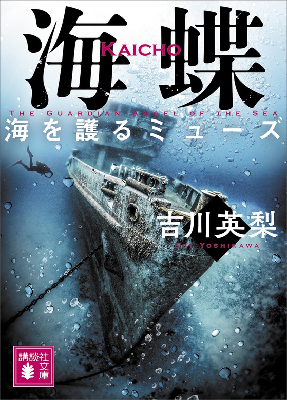 北緯43度のコールドケース - 文学・小説