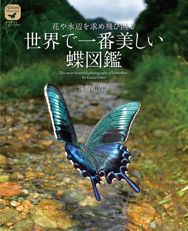 海野和男（ネイチャー・ミュージアム）：電子書籍試し読み無料　BOOK☆WALKER　世界で一番美しい蝶図鑑　実用