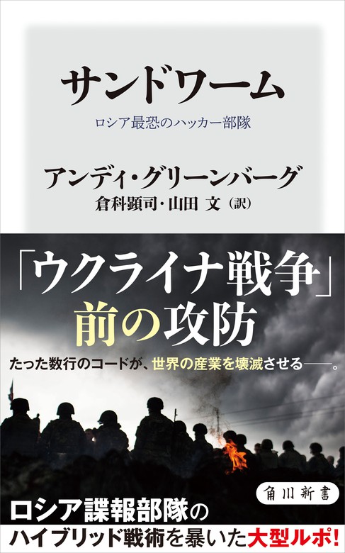 SALE／95%OFF】 30冊セット 戦争 世界歴史 人類社会 哲学 ロシア