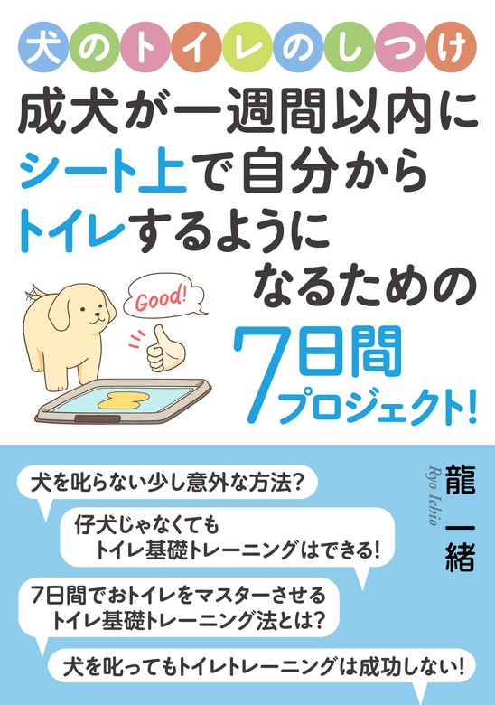 犬のトイレのしつけ。成犬が一週間以内にシート上で自分からトイレする