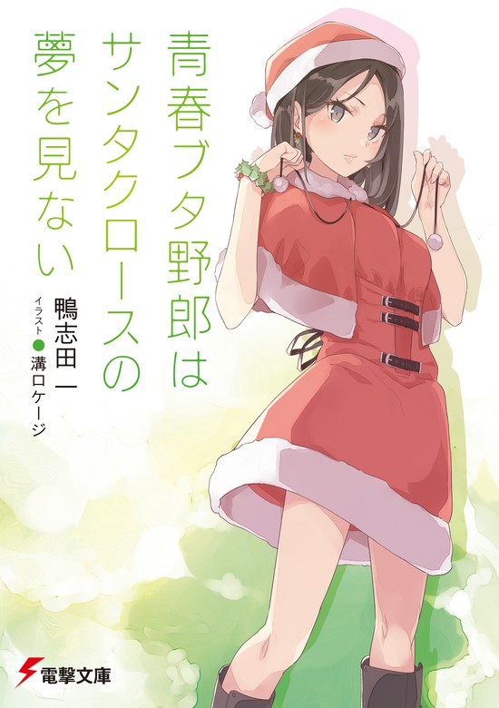 ランキング１位受賞 全巻初版帯付き 青春ブタ野郎はシスコンアイドルの