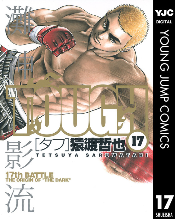 TOUGH 龍をつぐもの1-35+番外編 柔の章 最新刊】TOUGH