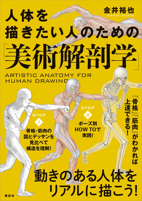 高級品 レイの美術解剖学 躍動する人体を描くための実践的なアプローチ