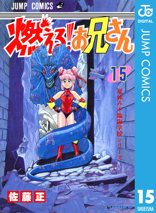 燃える！お兄さん 15 - マンガ（漫画） 佐藤正（ジャンプコミックスDIGITAL）：電子書籍試し読み無料 - BOOK☆WALKER