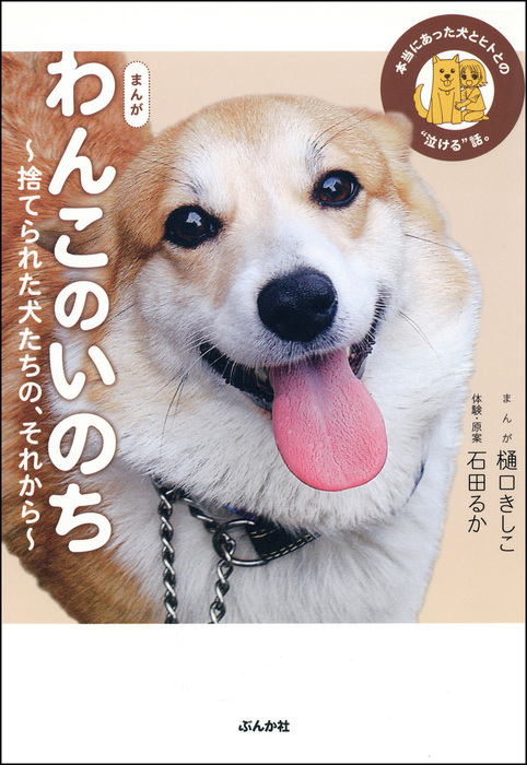 まんが わんこのいのち 捨てられた犬たちの それから マンガ 漫画 樋口きしこ 石田るか 電子書籍試し読み無料 Book Walker