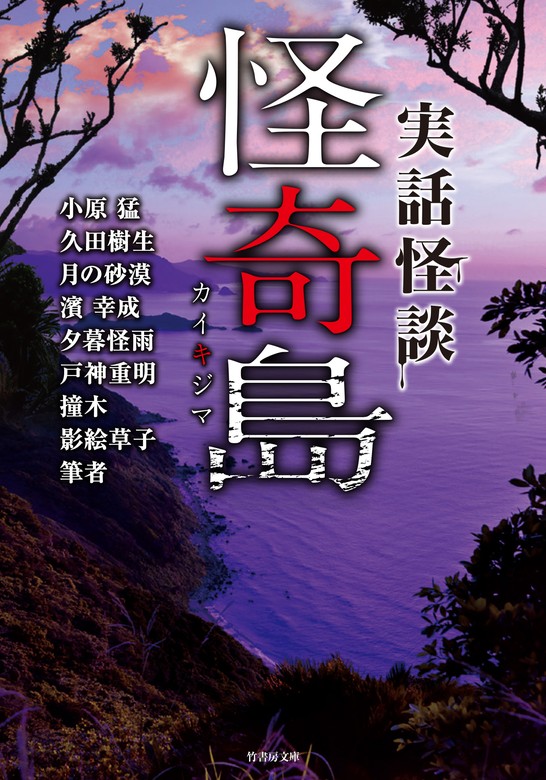 沖縄の怖い話 琉球怪談物語集 琉球奇譚キリキザワイの怪 4冊セット - 文学