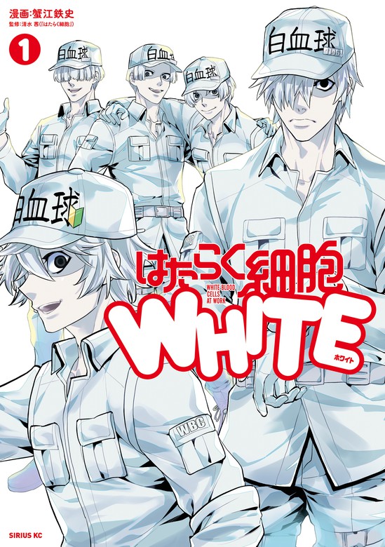 はたらく細胞ＷＨＩＴＥ（１） - マンガ（漫画） 蟹江鉄史/清水茜