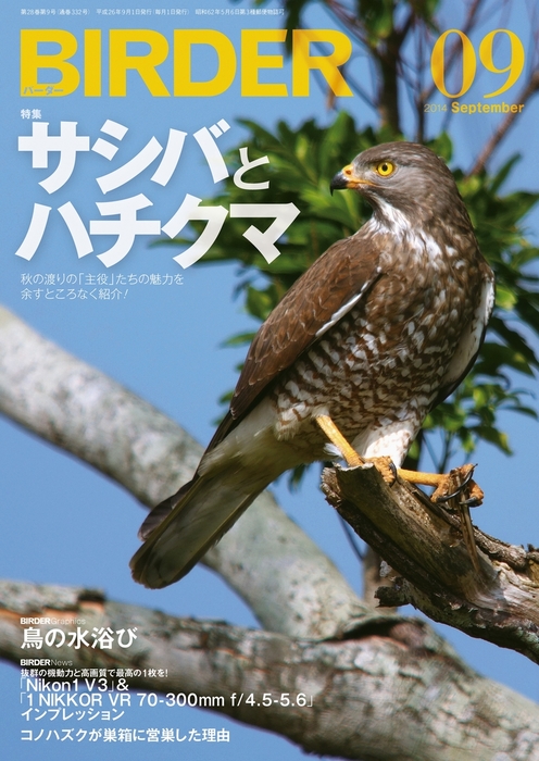 BIRDER2014年9月号 - 実用 BIRDER編集部：電子書籍試し読み無料 - BOOK