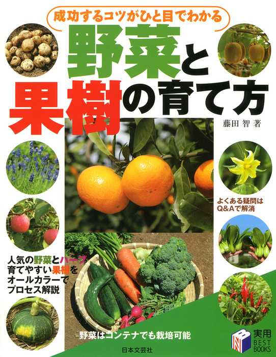 図解・野菜50の育て方のコツ ポイントが一目でわかる-