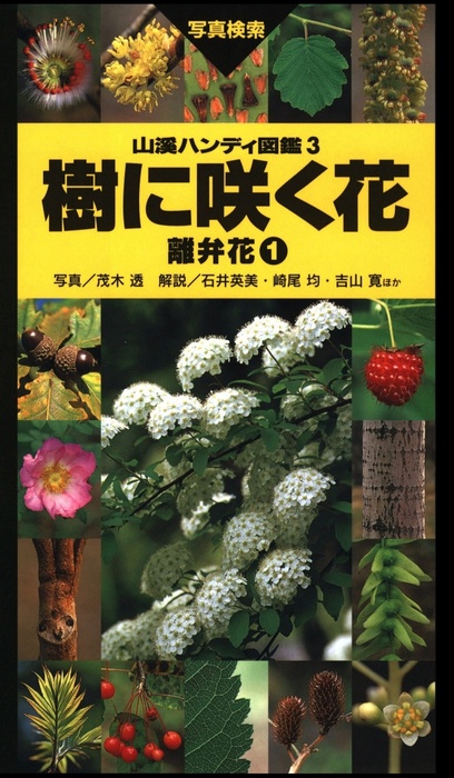 ヤマケイハンディ図鑑3 樹に咲く花 離弁花① - 実用 茂木 透/高橋 秀男