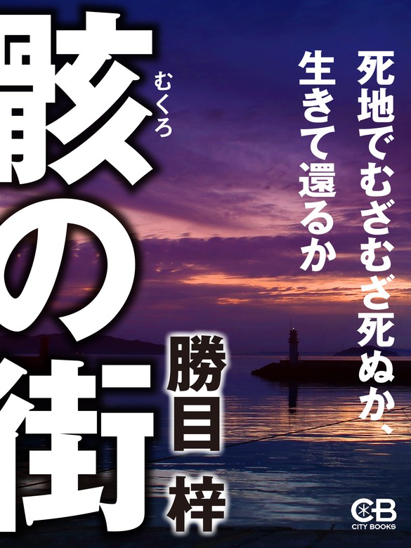 骸の街 ミステリ小説/廣済堂出版/勝目梓 - 文学/小説