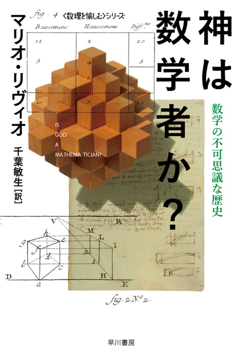 神は数学者か 数学の不可思議な歴史 実用 マリオ リヴィオ 千葉敏生 ハヤカワ文庫nf 電子書籍試し読み無料 Book Walker