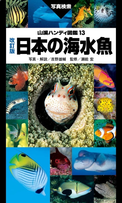 山溪ハンディ図鑑 改訂版 日本の海水魚 - 実用 吉野雄輔（山と溪谷社