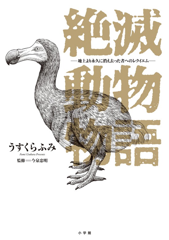 ウソナンデス ～ぼくたち、かんちがいされています!～ - ノン