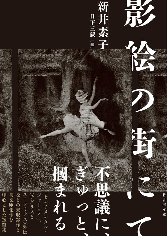 影絵の街にて 文芸 小説 新井素子 日下三蔵 竹書房文庫 電子書籍試し読み無料 Book Walker