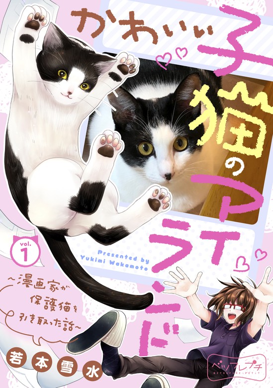 完結】かわいい子猫のアイランド ～漫画家が保護猫を引き取った話 