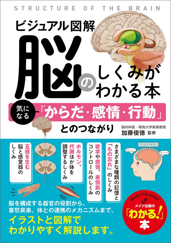 悩みのループから解放される!「執着しない脳」のつくり方 - 趣味