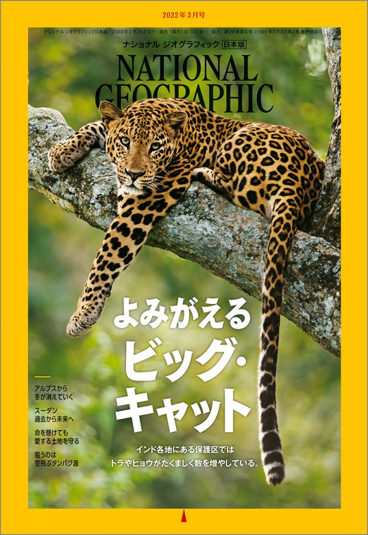 ナショナルジオグラフィック2022年1月号〜12月号1年分 - その他