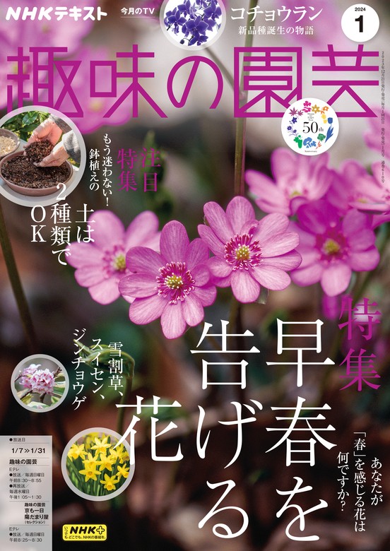 週刊花百科「フルール」 花の雑誌 全100冊花と花のある暮らしを楽しむ