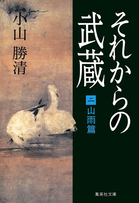 それからの武蔵 二 山雨篇 文芸 小説 小山勝清 集英社文庫 電子書籍試し読み無料 Book Walker