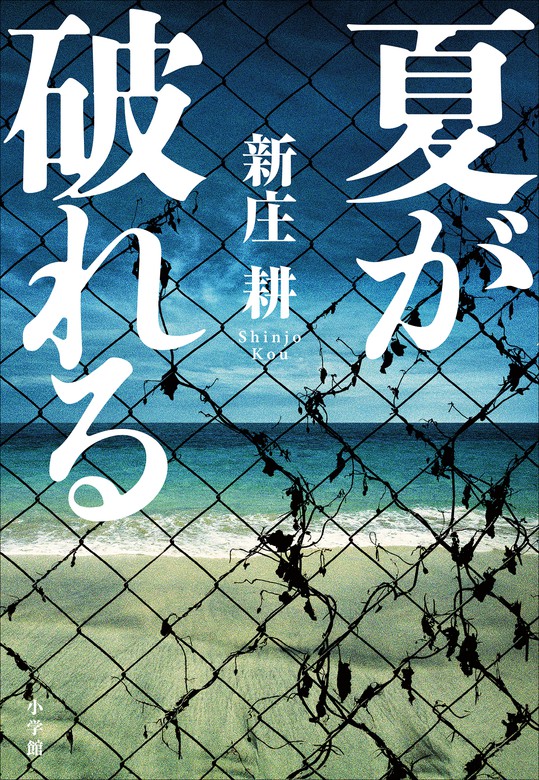 夏が破れる 文芸 小説 新庄耕 電子書籍試し読み無料 Book Walker