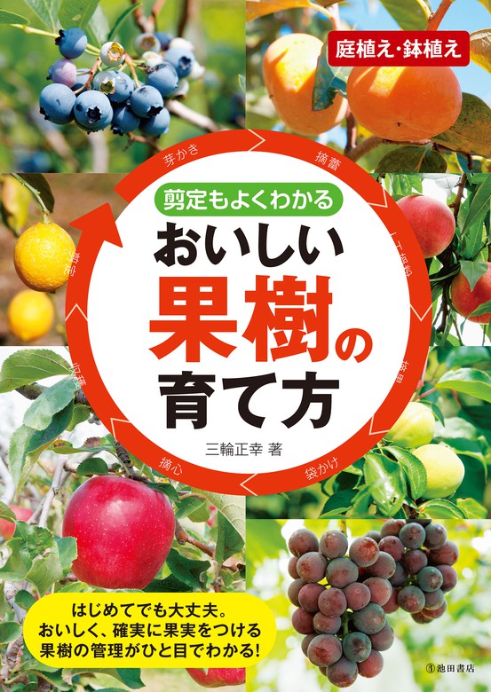 剪定もよくわかる おいしい果樹の育て方 池田書店 実用 三輪正幸 池田書店 電子書籍試し読み無料 Book Walker