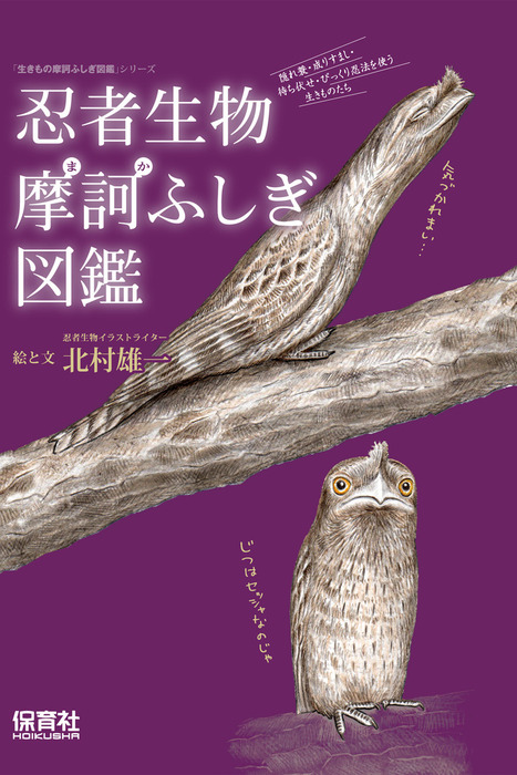 忍者生物摩訶ふしぎ図鑑 実用 北村雄一 生きもの摩訶ふしぎ図鑑 電子書籍試し読み無料 Book Walker