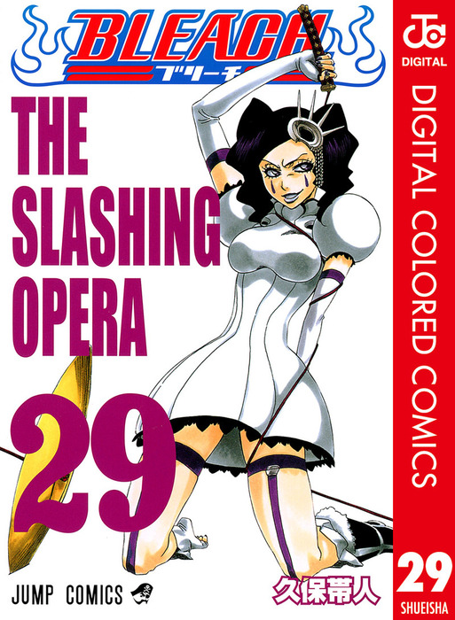 BLEACH カラー版 29 - マンガ（漫画） 久保帯人（ジャンプコミックス