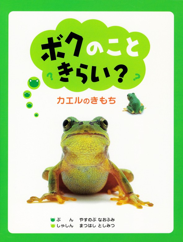 アマガエルとくらす 3冊セット - 絵本