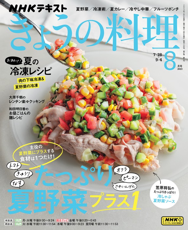 きょうの料理ビギナーズ 2020年1月号2月号 2冊セット - その他