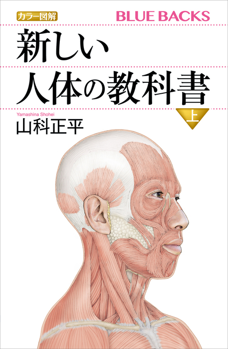 カラー図解 新しい人体の教科書 上 - 実用 山科正平（ブルーバックス