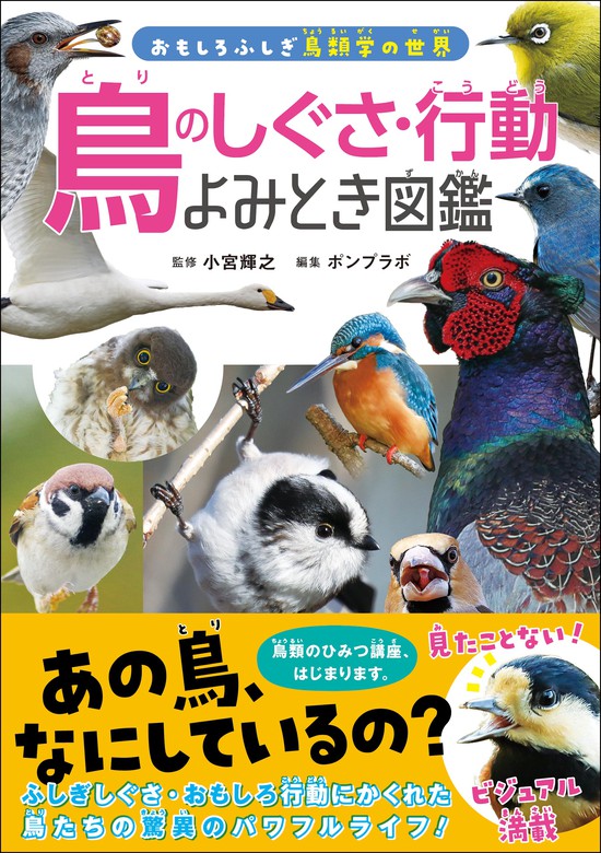 小宮輝之：電子書籍試し読み無料　写真集　鳥のしぐさ・行動よみとき図鑑　BOOK☆WALKER